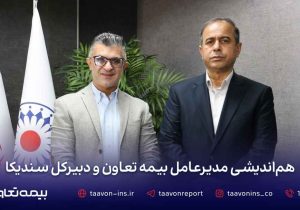توسعه همکاری‌های صنعت بیمه در دیدار مدیرعامل بیمه تعاون با دبیرکل سندیکای بیمه‌گران ایران