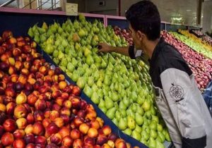 مدیرعامل سازمان میادین میوه و تره‌بار شهرداری تهران: میادین و بازارهای میوه و تره بار روزهای ۱۳ و ۱۴ تیر فعال هستند