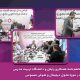 امضای تفاهم‌نامه همکاری رایتل و دانشگاه تربیت مدرس در حوزه تحول دیجیتال و هوش مصنوعی