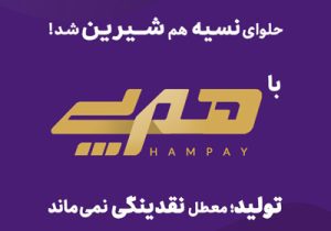 «هم‌پی» اقدام پیشتازانه بانک اقتصادنوین برای رفع موانع تولید