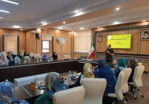 برگزاری کارگاه «سفیران حافظه» با هدف توانمندسازی سالمندان منطقه 8