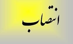 حجت‌الله روحی سرپرست صندوق بازنشستگی کارکنان بانک‌های ملی و ادغام‌شده شد